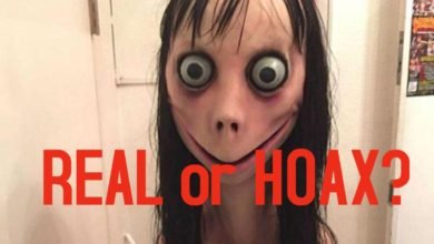 Photo of Momo challenge, is it real or hoax?